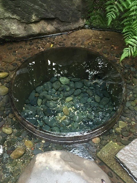 明治神宮 清正井 パワースポット エネルギー体感体質 Note