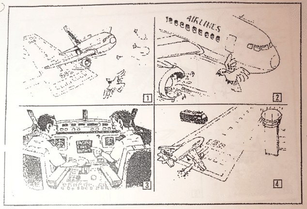 初心者向け】航空英語能力証明の実地試験内容を過去問4コマで解説！｜K 