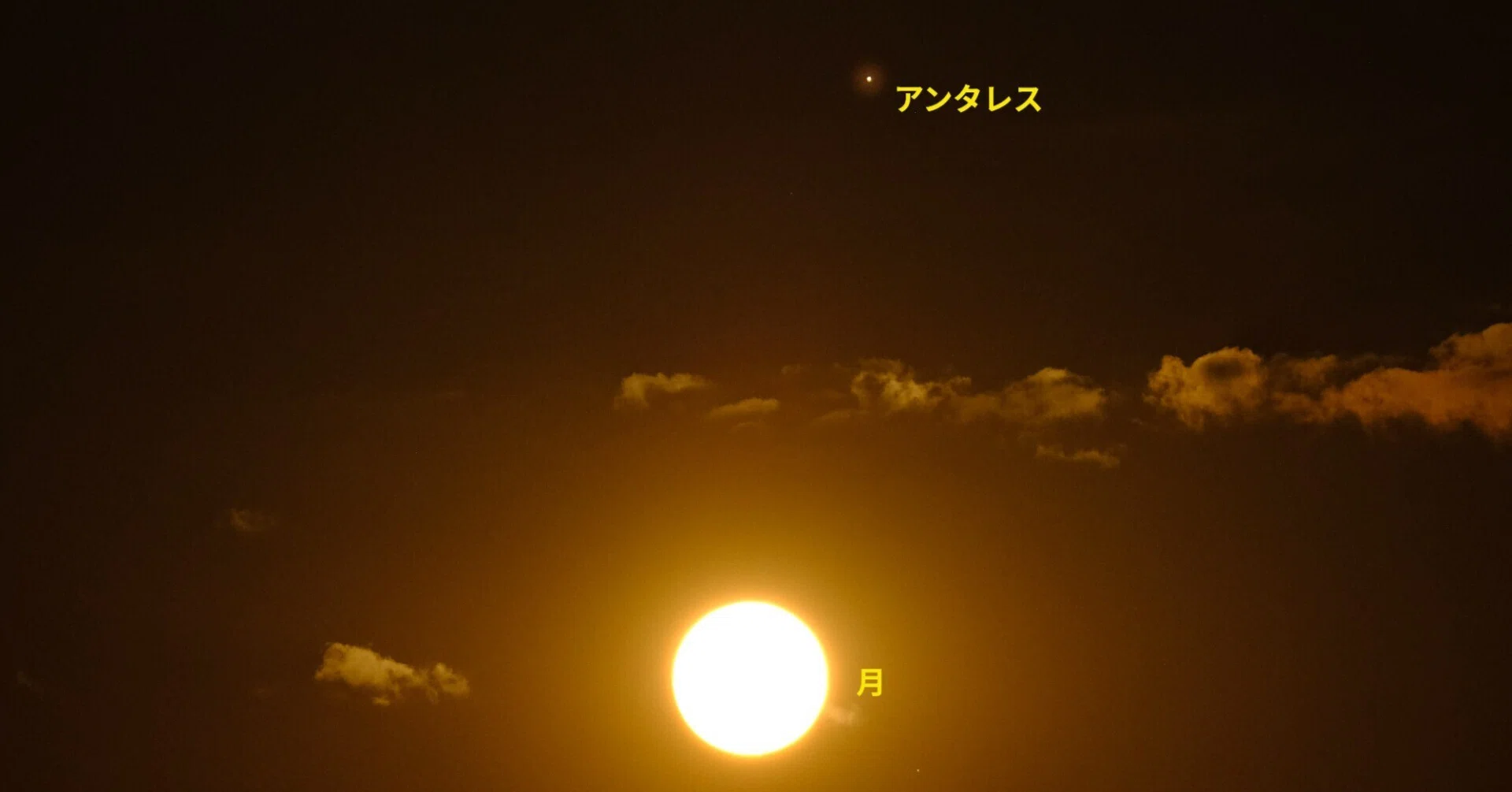 ブルー & マイクロ・ムーン (2026/5/31)｜MRYM