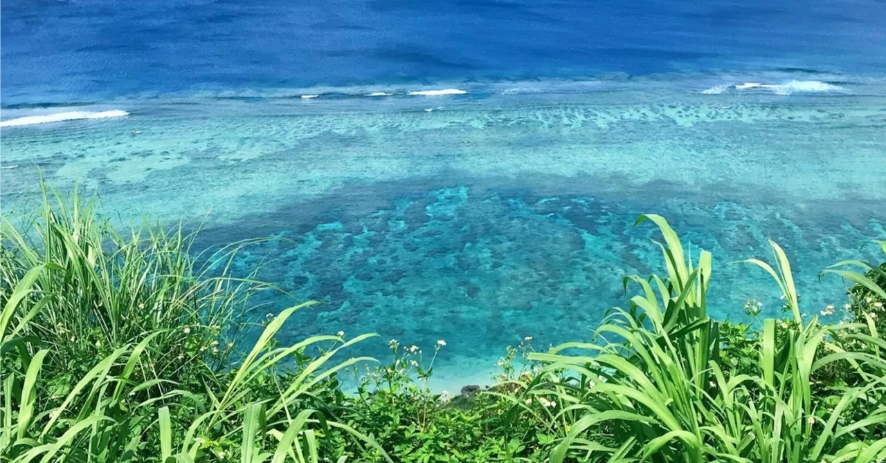 [Power of the Island] Kurima Island Diagnostic Report: Moving from ...