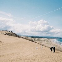 考察 村上春樹 海辺のカフカ は 大切な人を 失いそうな瞬間 に読むべき小説 なのかもしれない イシカワサトシ Note