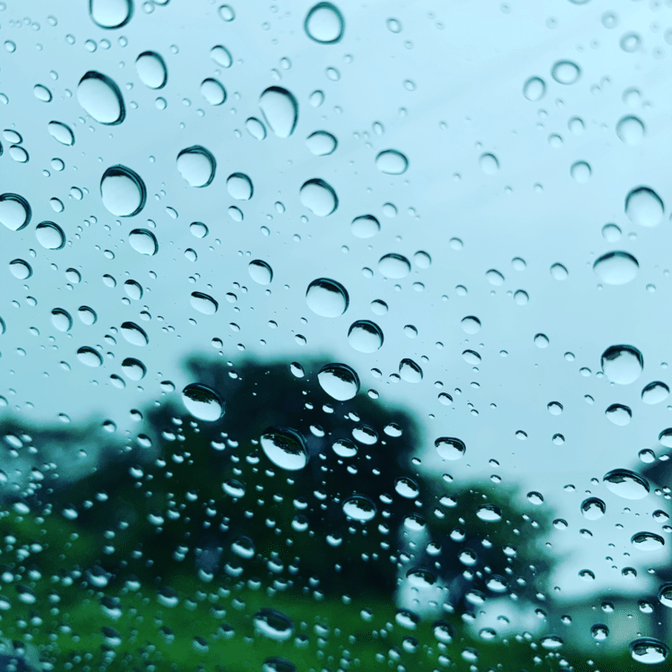 まどろむ車窓
雨音が響く



#写真 #雨 #スマホで撮影 #photograph