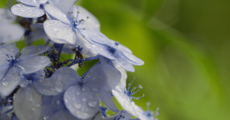 『雨が止むように』 #みんなでポエム書いてみた