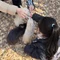 えみママ 〜モラハラ夫と離婚する〜