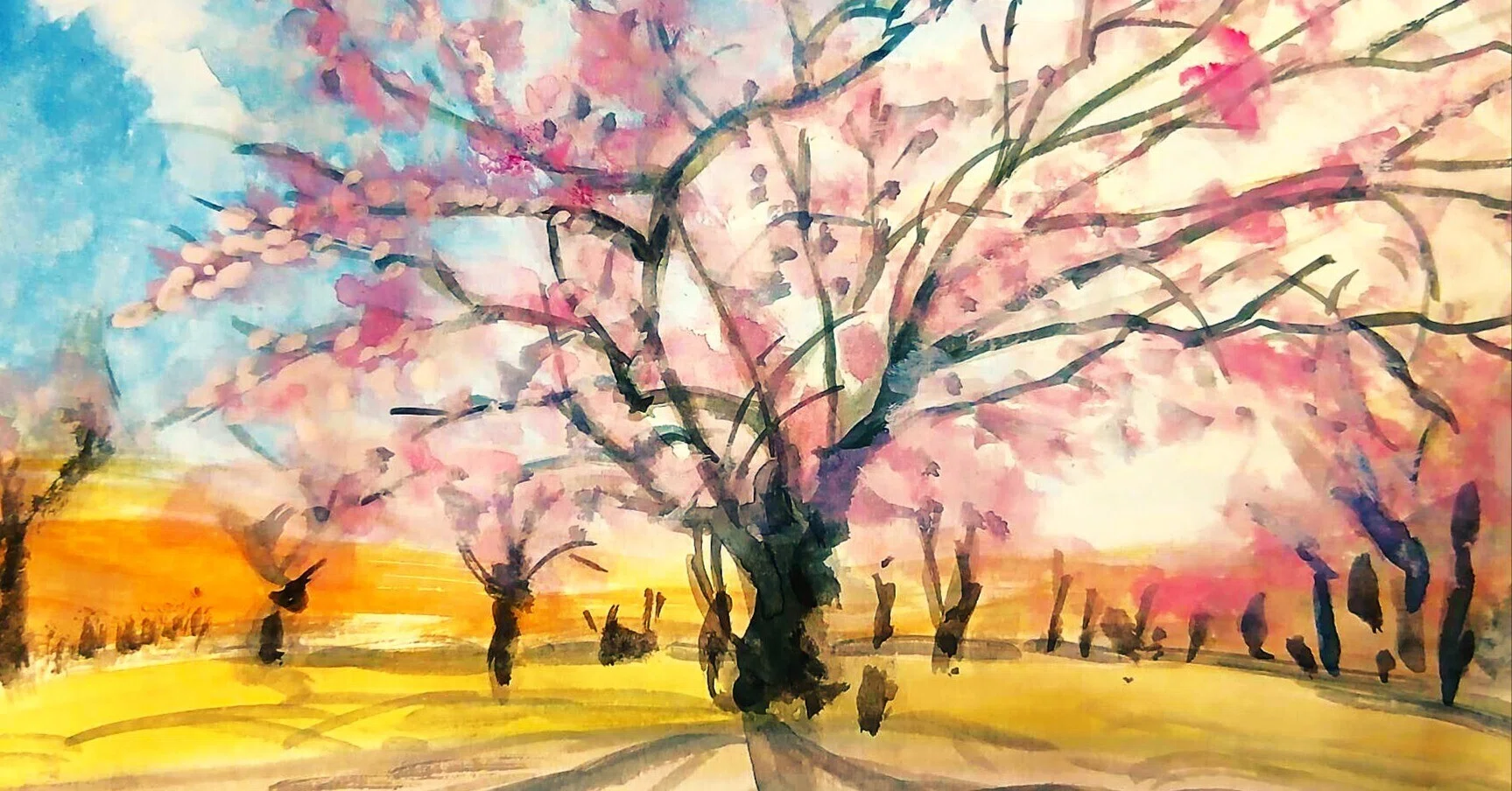 桜(小樽市朝里)｜北海道の熊おやじ〜北海道の179市町村の歴史と観光