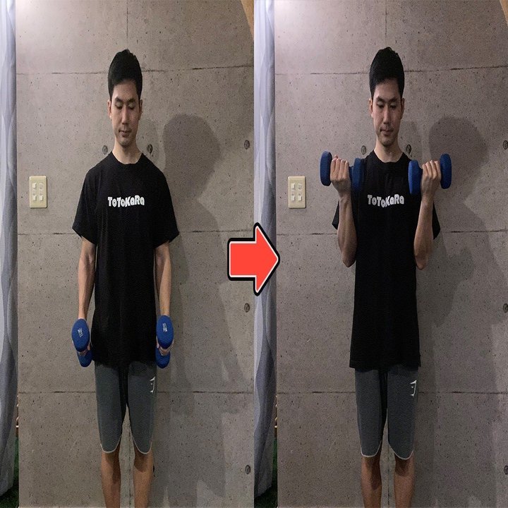 上腕二頭筋 Ezバーとストレートバー 腕の筋トレはどちらでやるのが効果的 上腕三頭筋 せいや アラサー筋トレチャンネル Note