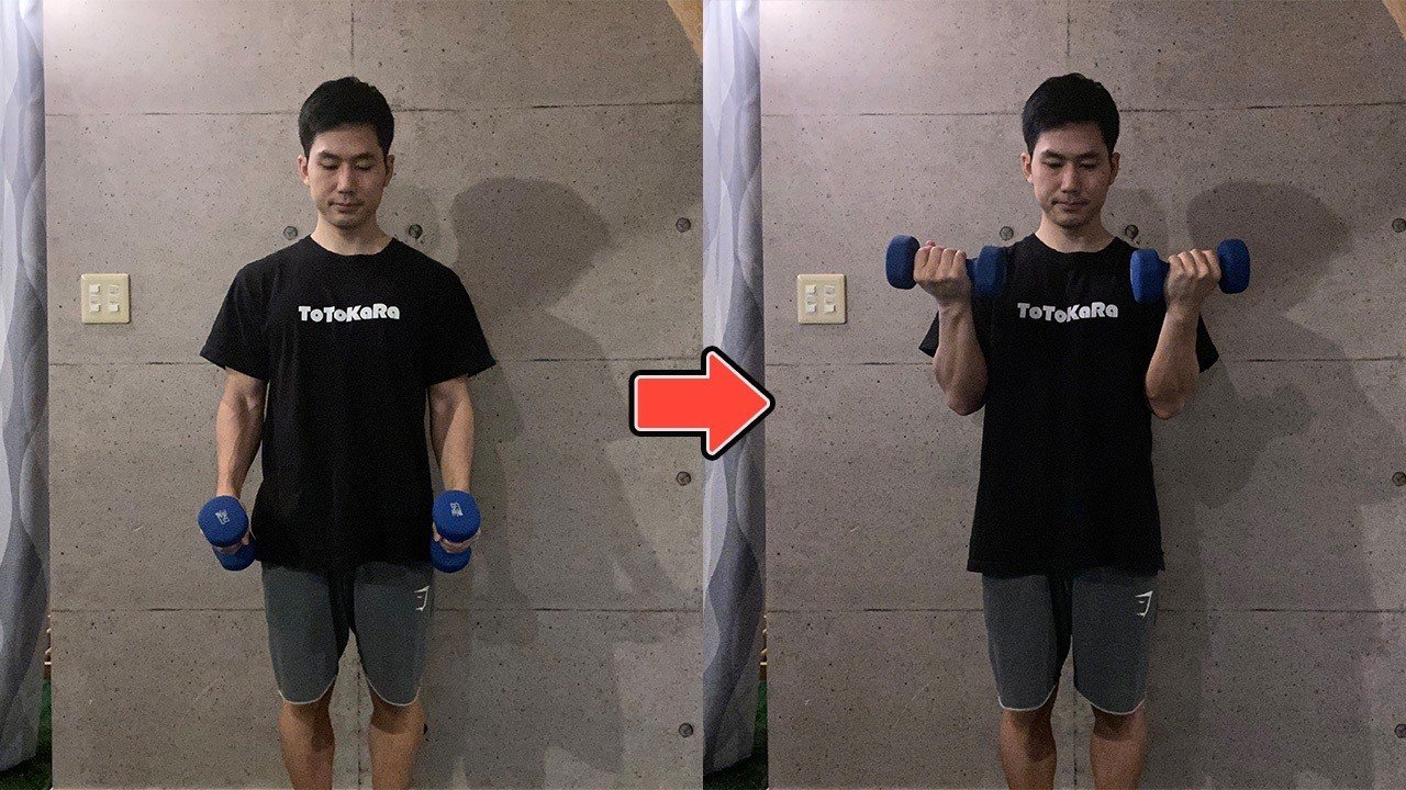 上腕二頭筋 Ezバーとストレートバー 腕の筋トレはどちらでやるのが効果的 上腕三頭筋 せいや アラサー筋トレチャンネル Note 上腕二頭筋 Ezバーとストレートバー 腕の筋トレはどちらでやるのが効果的 上腕三頭筋 せいや アラサー筋トレチャンネル Note