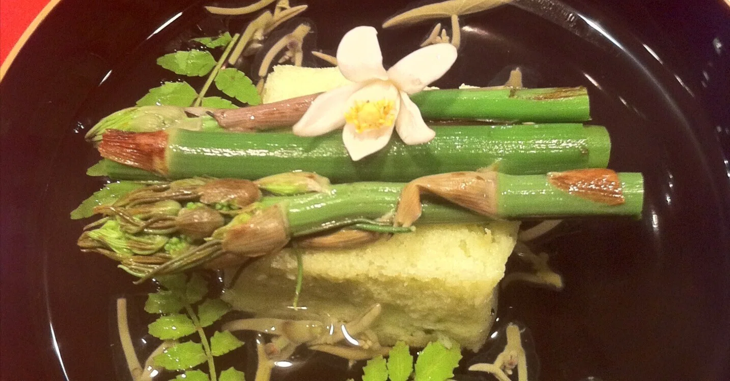 京都「草喰なかひがし」での食事‼️｜TETSU