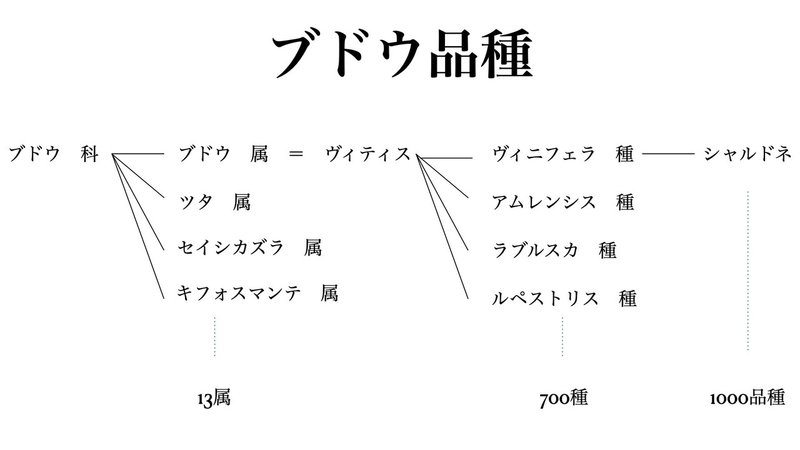 ブドウ品種スライド.001