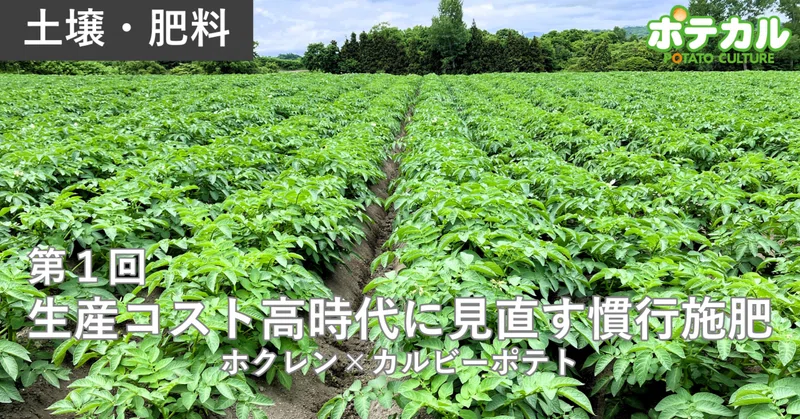 生産コスト高時代に見直す慣行施肥（ホクレン×カルビーポテト）第1回　肥料価格が2021年比で最大180まで高騰
