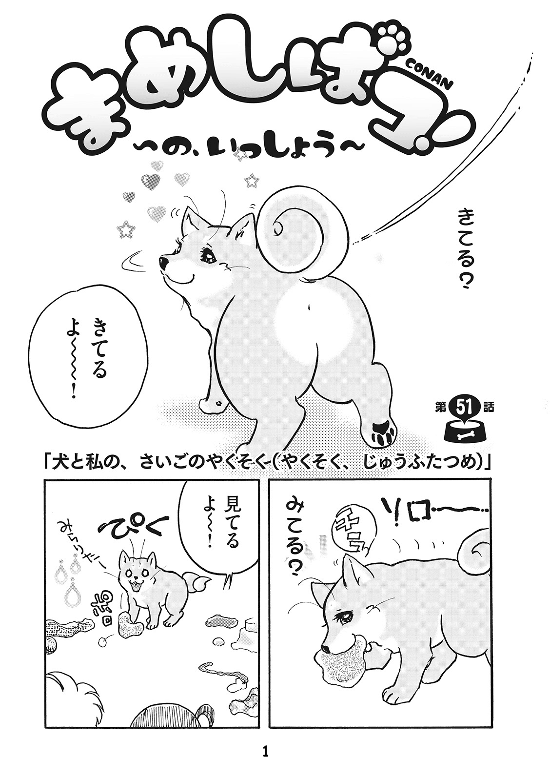 こなん５１_１