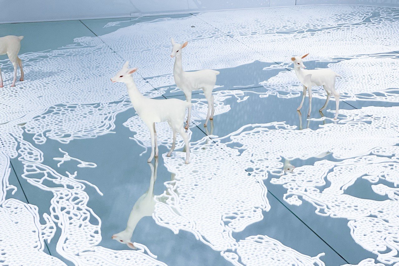 幻想の銀河 山本基×土屋仁応」＠ザ・ギンザ スペース (展覧会レポ