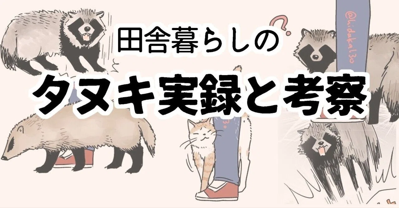 タヌキ実録と考察｜日高十三男