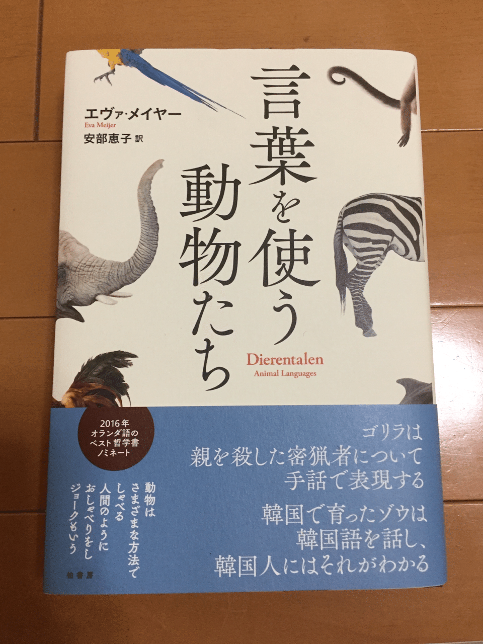 今 読みたい本を購入 てるてるぼうず Note