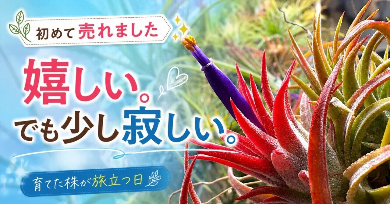 初めて売れました?｜Pupラボ