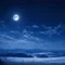 夜白
