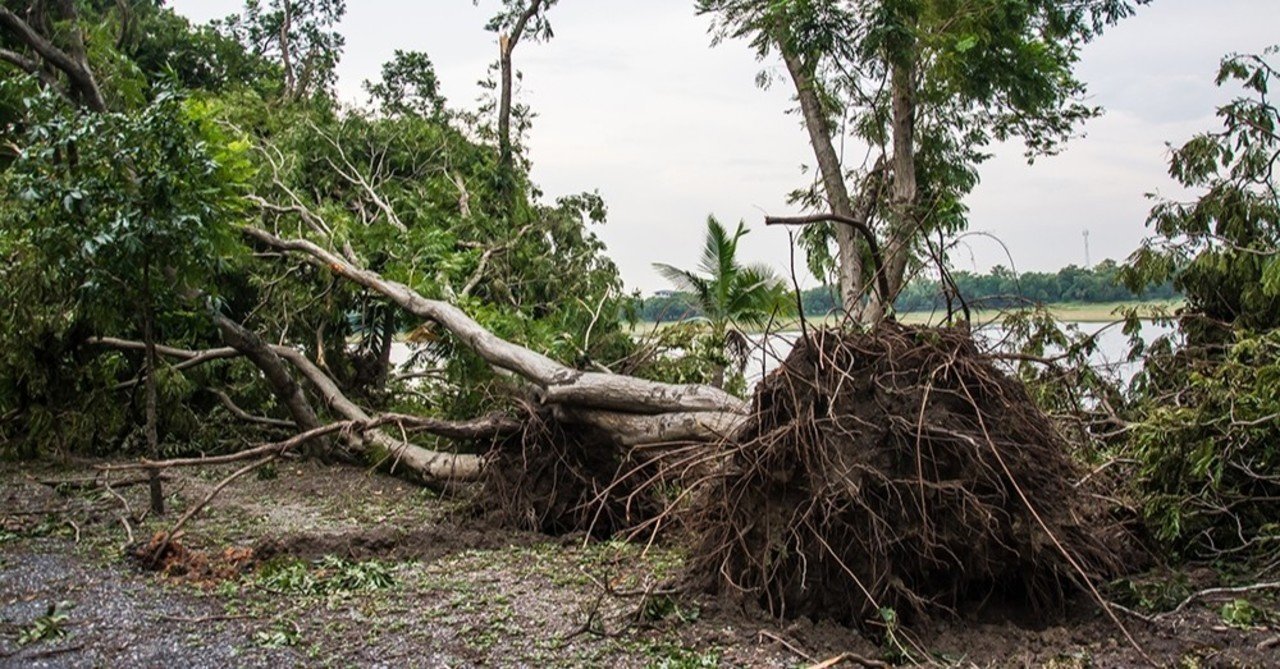 グアムの朝刊 2020 6 14 今シーズンは2 3の台風の可能性 Guamlovers Note