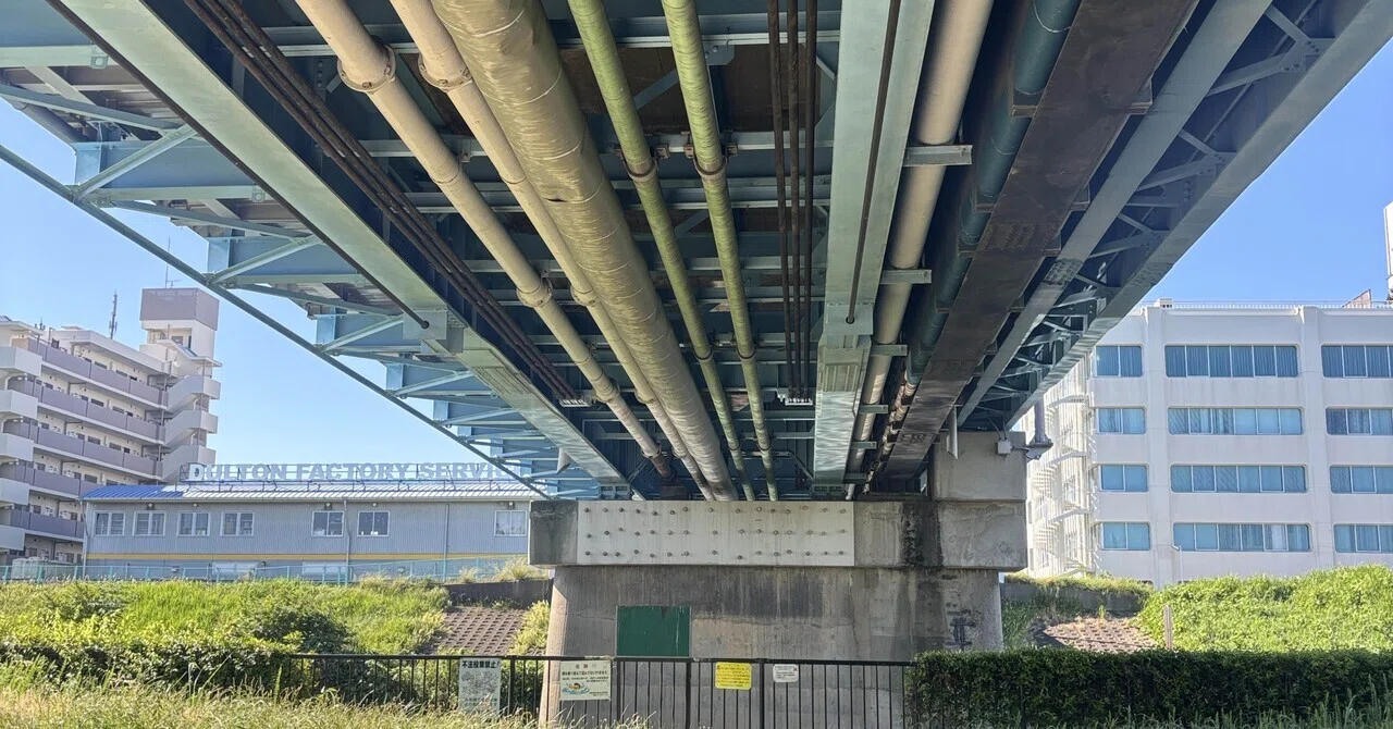 Disaster Prevention Picnic in Kanzakigawa｜東淀川防災アシスト