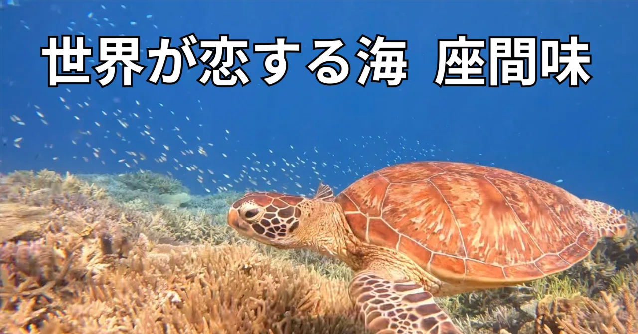 沖縄・離島】座間味を語る【ウミガメに会えるシュノーケリング】｜あお