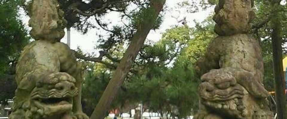 新潟市中央区にある白山神社境内の住吉神社の狛犬 とりこま Note