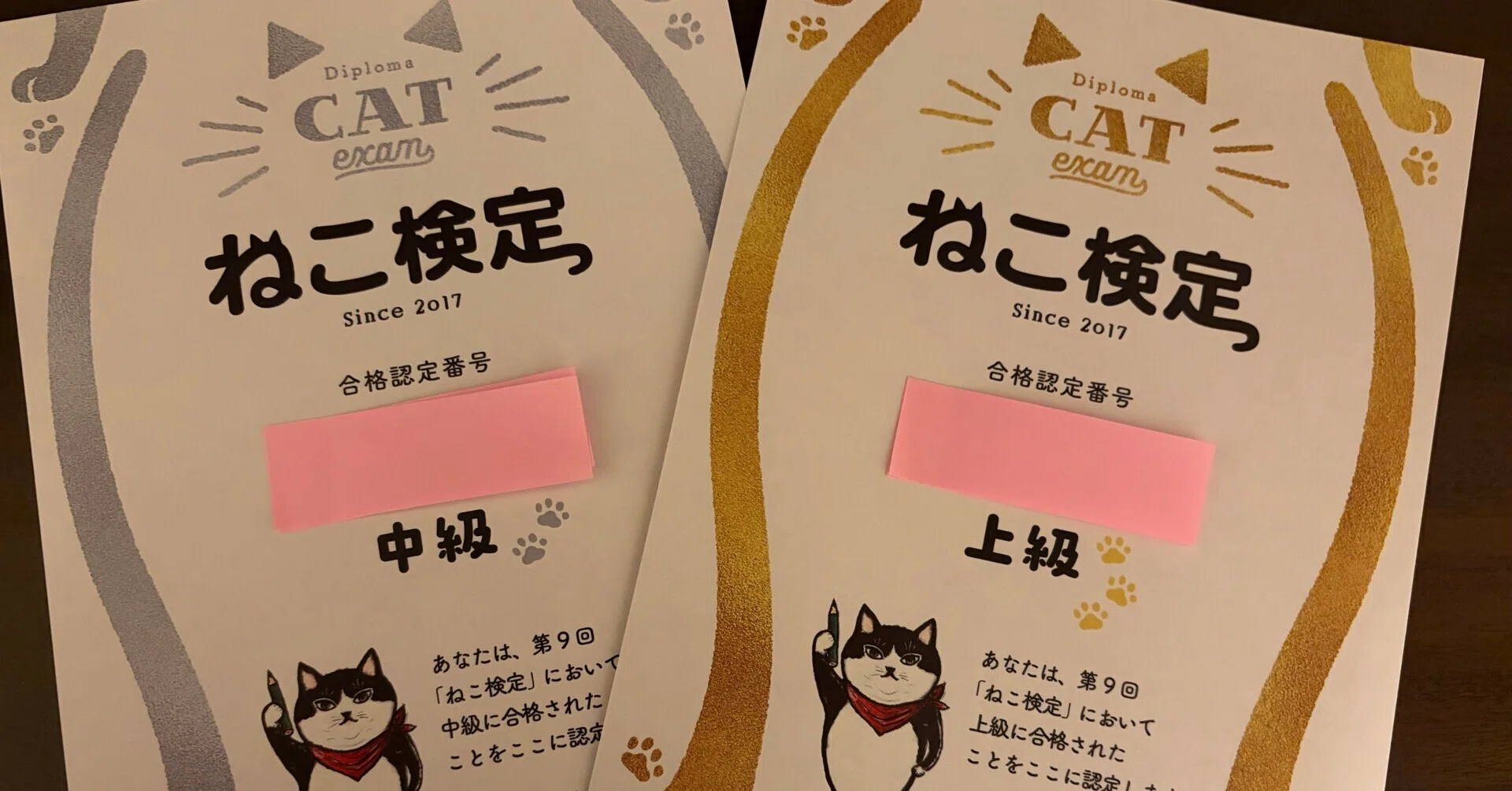 I passed the Neko Kentei (Cat Certification) Intermediate and