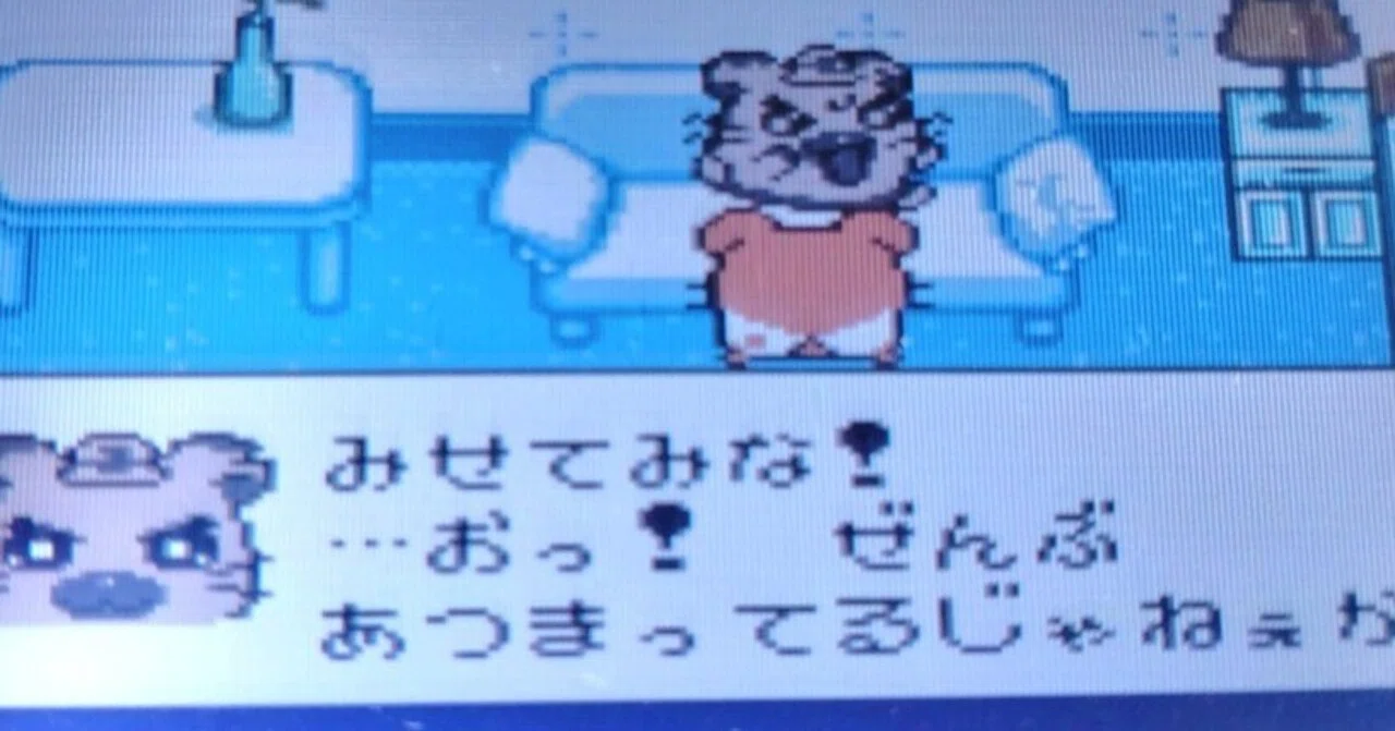 ハム太郎2]攻略と発見のメモ ひまわりの種カンスト他｜がみ