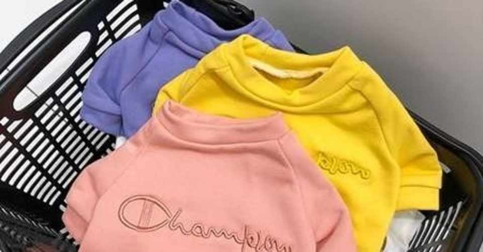 リュック付きペットtシャツ チャンピオン Champion 犬服 ドックウェア 猫服 小型犬 中型犬 可愛いバックパック付き 人気 オシャレ Mytfurlaka Note