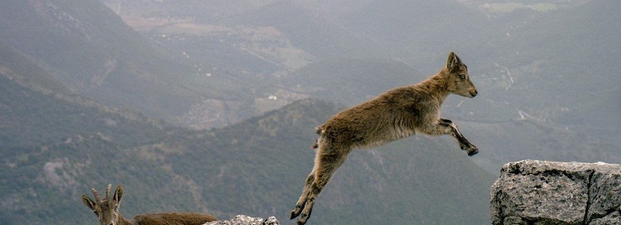 政策プランナー細川甚孝の活動ノート｜note