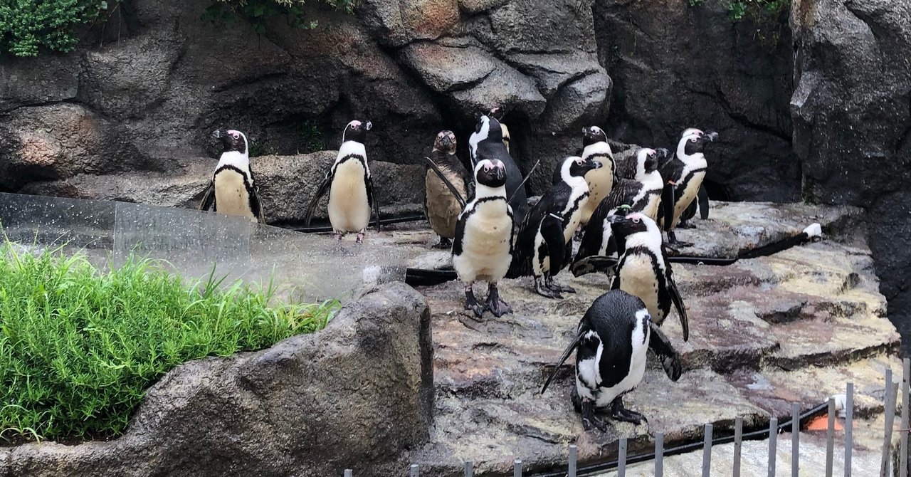 営業を再開したサンシャイン水族館に行ってみた yuichi note