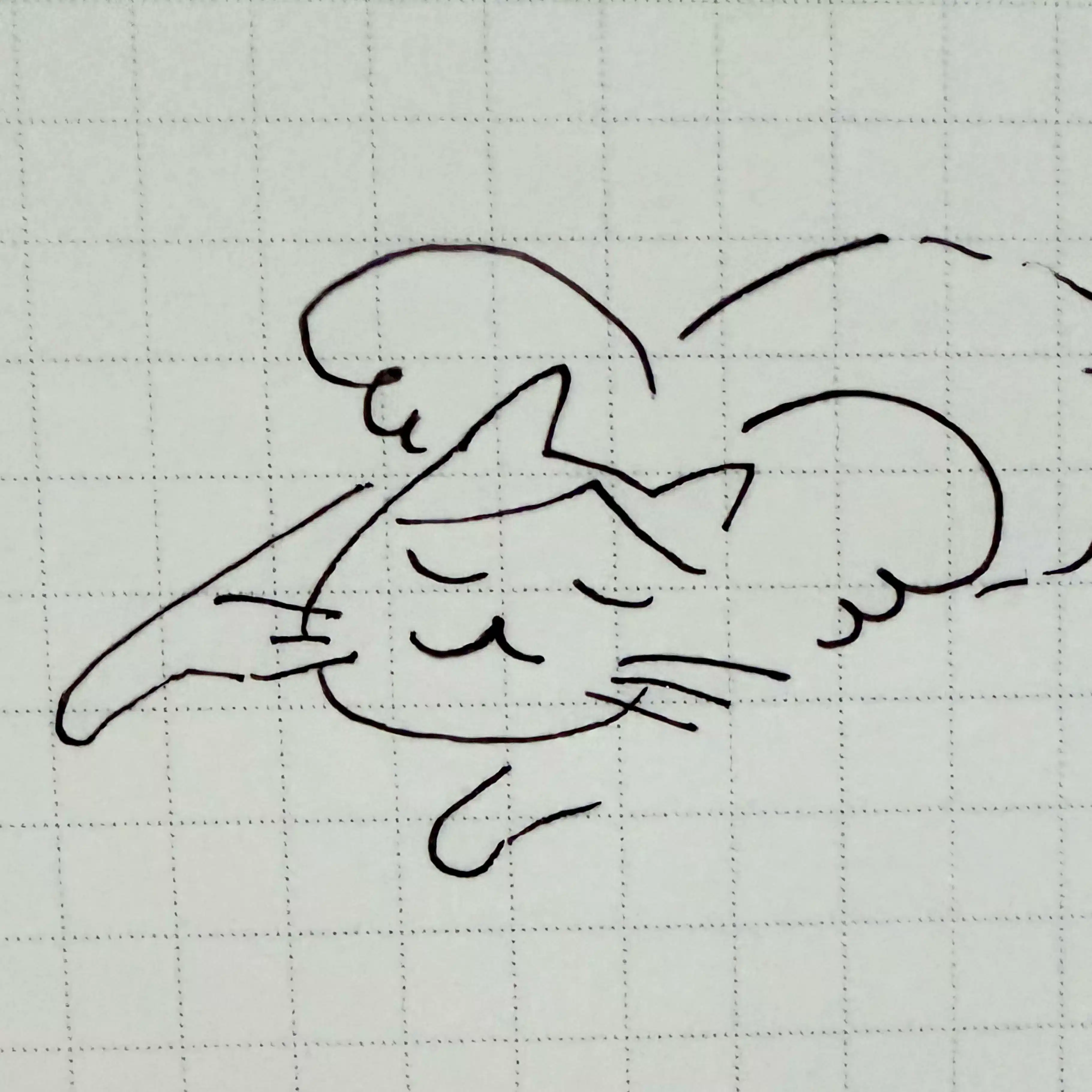 はっち