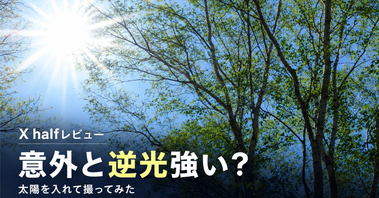 富士フイルム】X halfレビュー｜意外と逆光に強い？太陽を入れて撮って