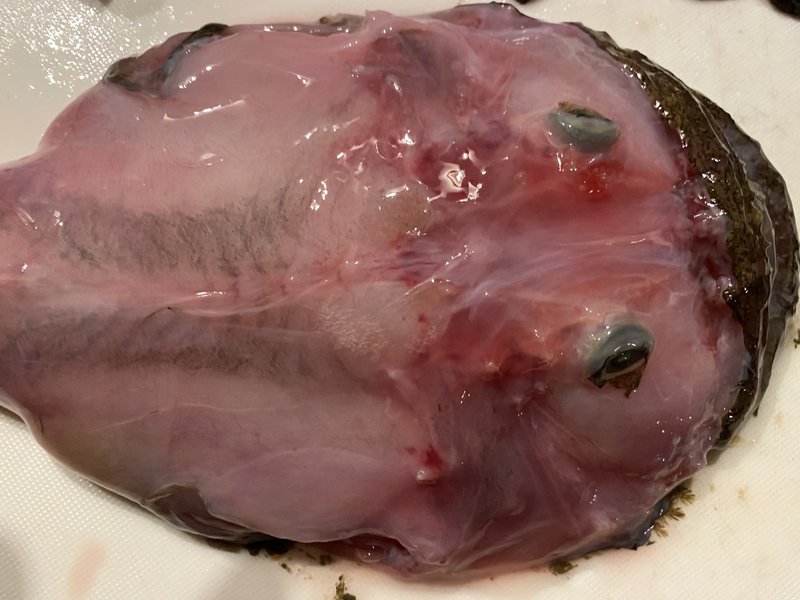 アンコウを捌いてみた プチグロ注意 Noriaki Kawanishi 黒崎base半農style Note