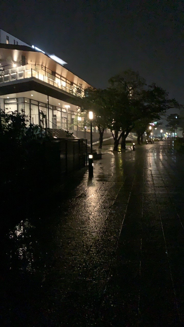 地元岡崎市の再開発地域です 暗かった通りがとても明るくなった気がします 対岸には岡崎 信用金庫が 雨でかすれて 闇夜に浮かび上がるようでした 菅沼翔也のnote Note
