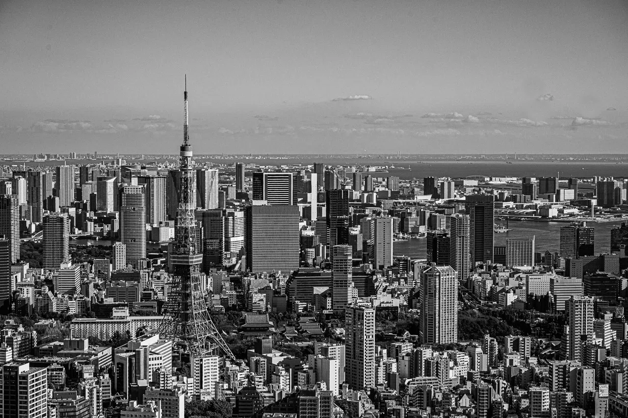 画像9