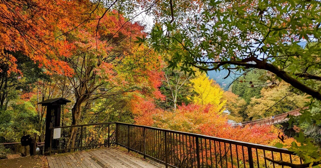 Akigawa Valley | An Autumn Day Crossing the Autumn-Colored Ishifune ...