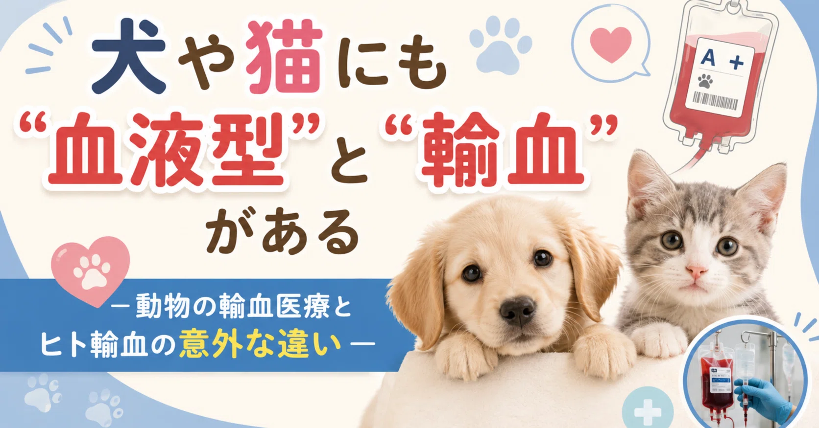 犬と猫の輸血 犬や猫にも「血液型」と「輸血」がある― 動物の輸血医療とヒト輸血の