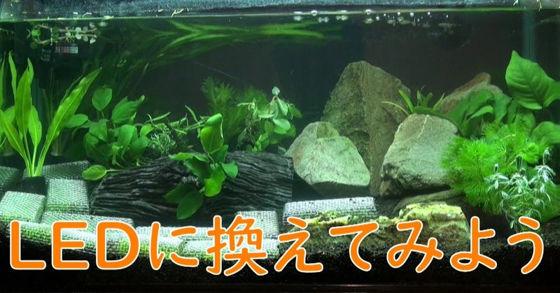 メダカ爆誕止まらず メダカ水槽立ち上げ 蛍光灯では暗くてledに変えてみた結果 びっくりしろ濁りが Yasu Note