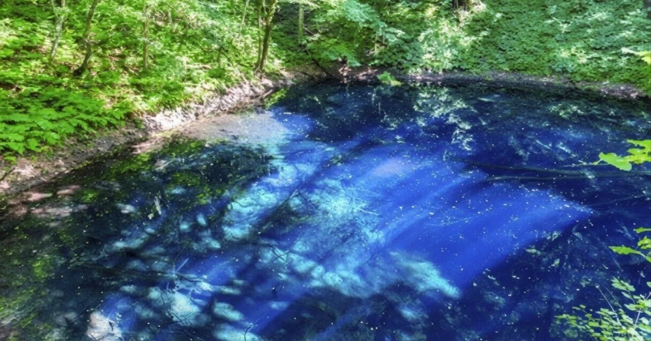 青森県｜白神山地 夏トレッキング〜世界遺産のブナ林を歩いた後に