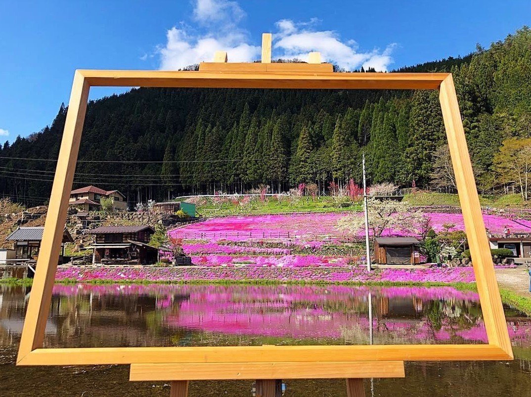 國田家の芝桜 まつこ Note