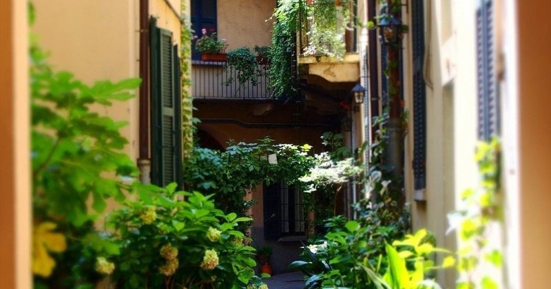 Bs日テレ 小さな村の物語 イタリア そばかす Note