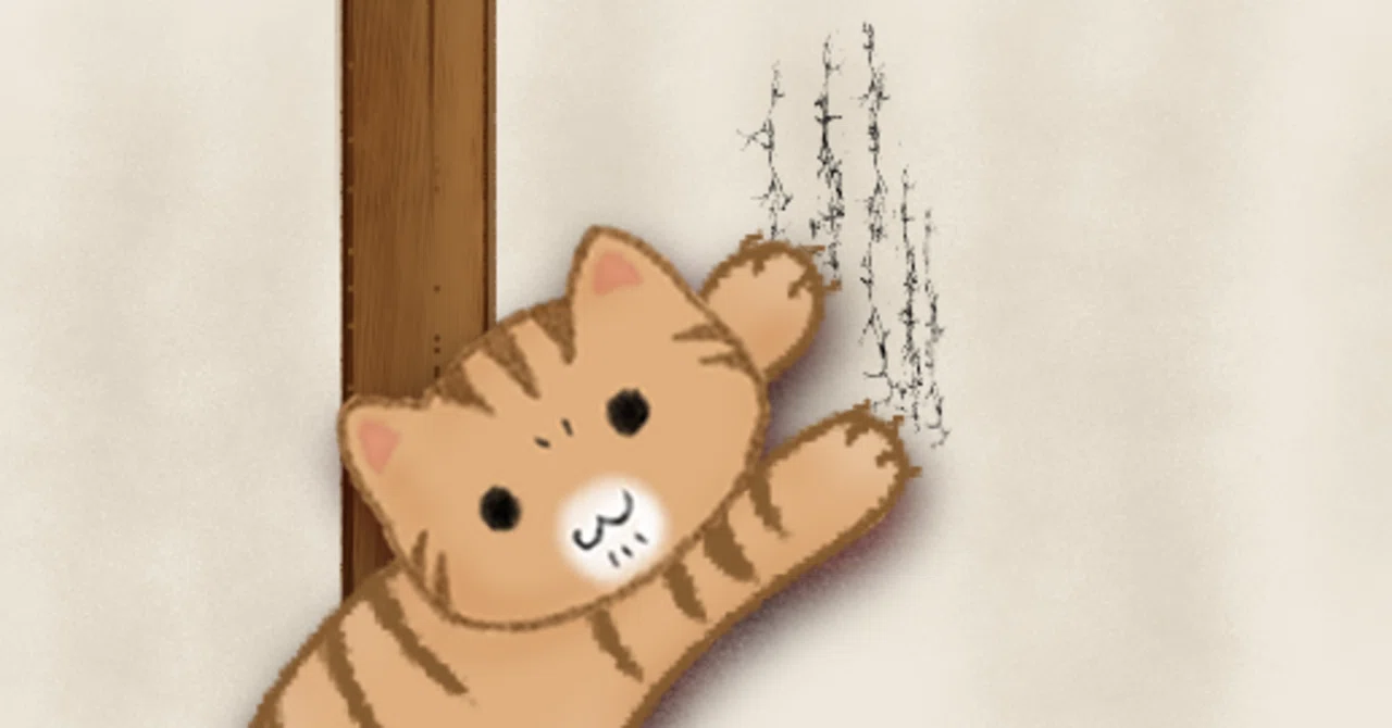 壁の漆喰塗り｜ෆもふෆ