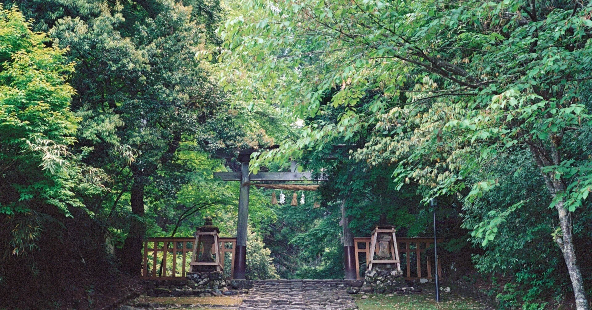 端渓 Kodak Portra｜Pentax67とRolleiflexと巡る、新緑の本州旅