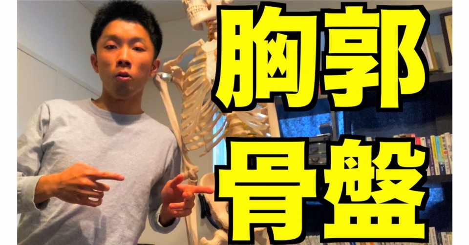 胸郭と骨盤 の知っておきたい豆知識 薬師寺 偲 Shinobu Yakushiji Note