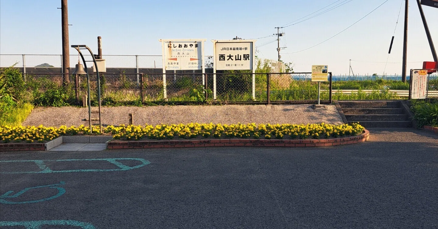 ＮＯ１７ イワヒバ(岩松) 鹿児島 南薩摩半島 霧島 産 最高級品 投げ売り 鹿児島2泊3日の旅〜2日目〜｜山わさび