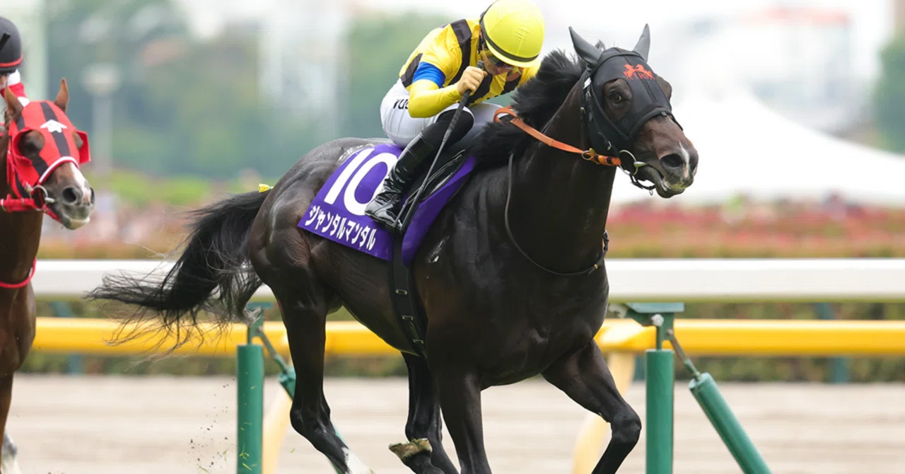 １９９６年 第４１回有馬記念　全１４頭出走 単勝馬券 1996年 第41回有馬記念全14頭出走 単勝馬券