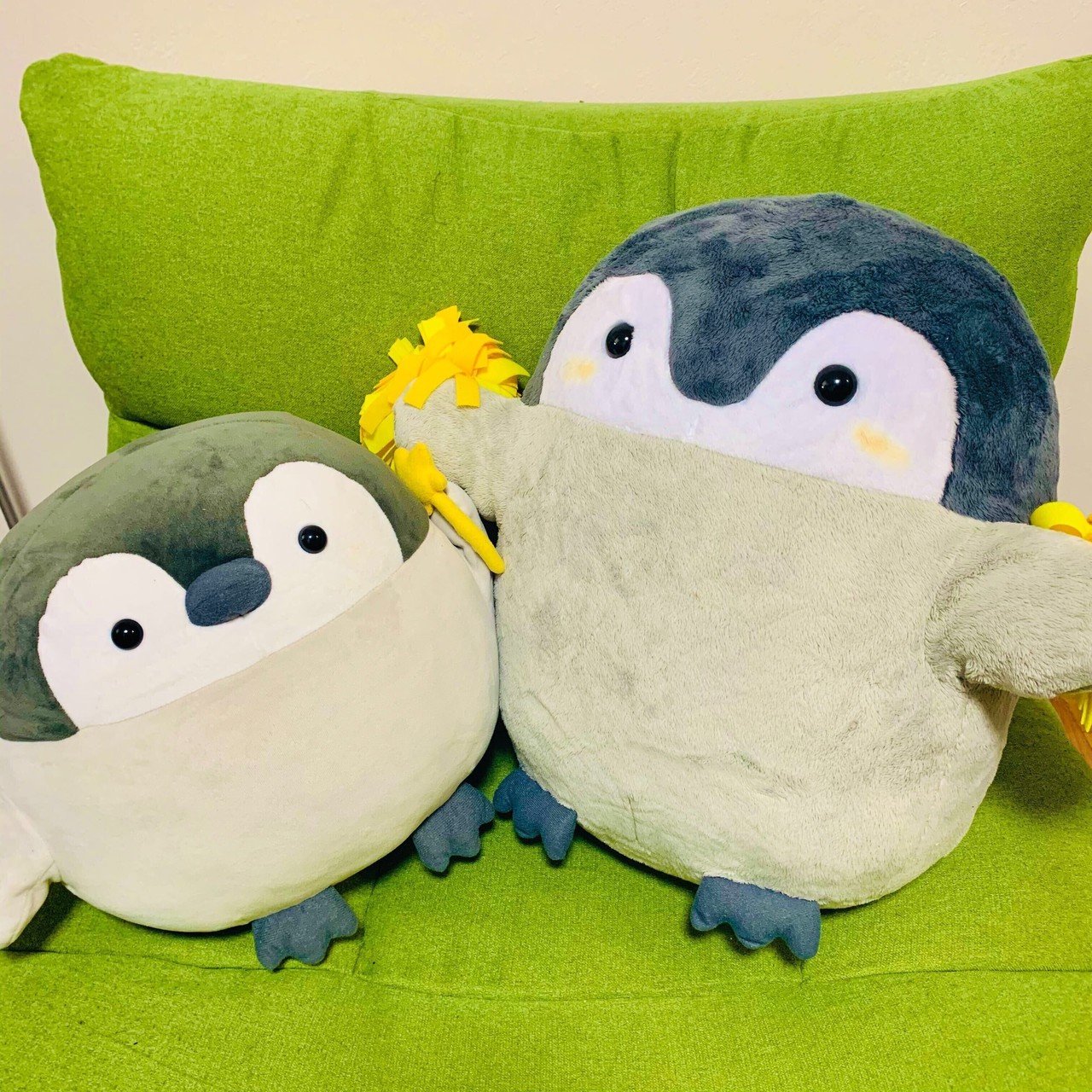 ある日、突然我が家にやってきた”にゃもち”が教えてくれた日常の豊かさ