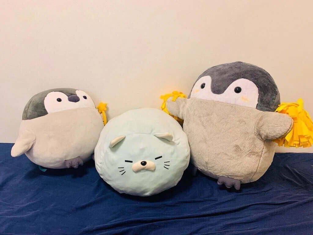 ある日、突然我が家にやってきた”にゃもち”が教えてくれた日常の豊かさ