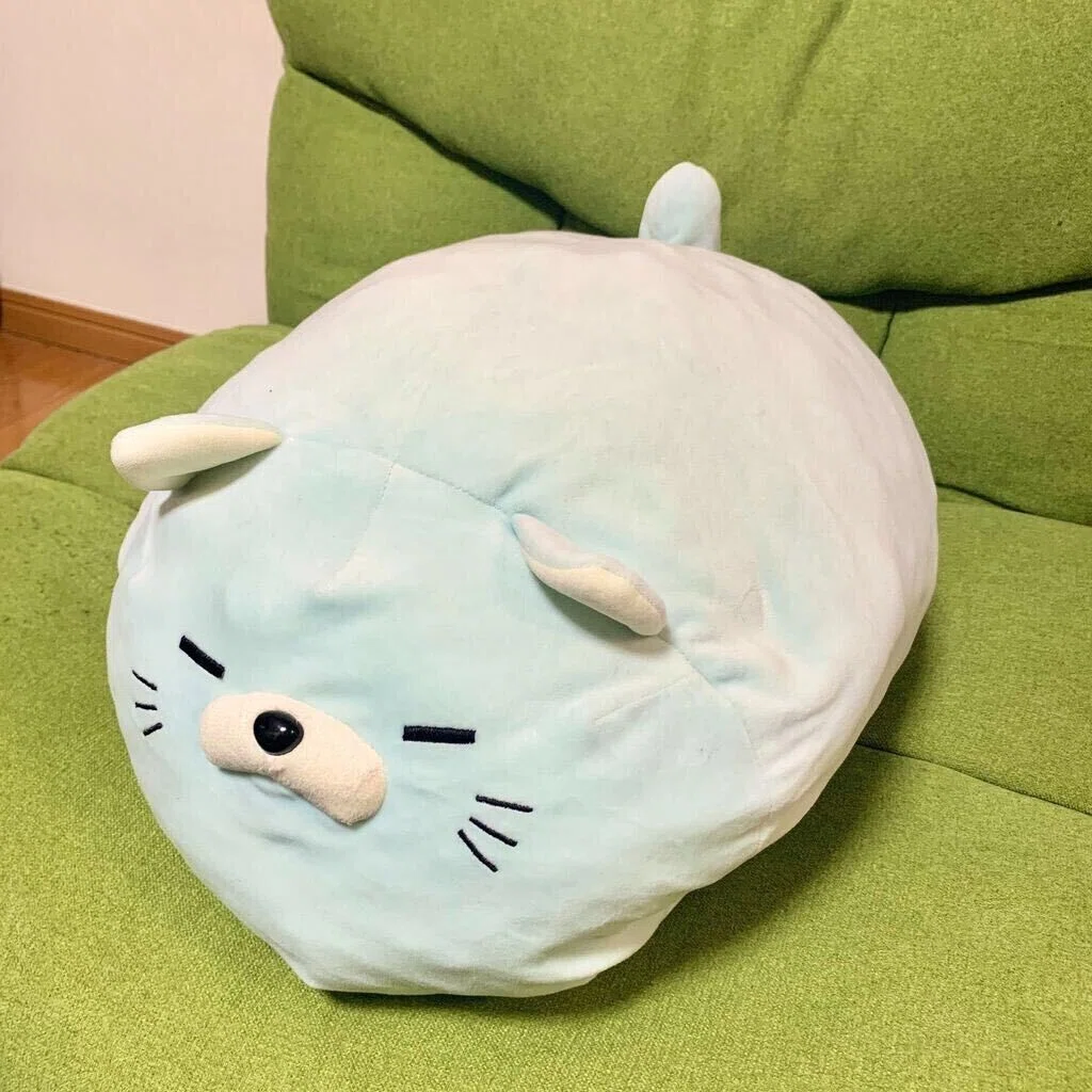ある日、突然我が家にやってきた”にゃもち”が教えてくれた日常の豊かさ 