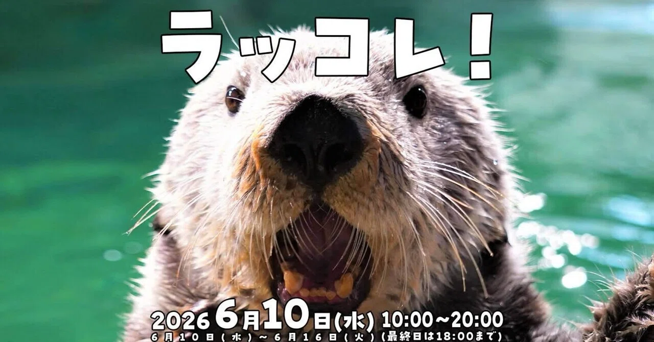 出店のお知らせ】ラッコレ！②｜orca.creation