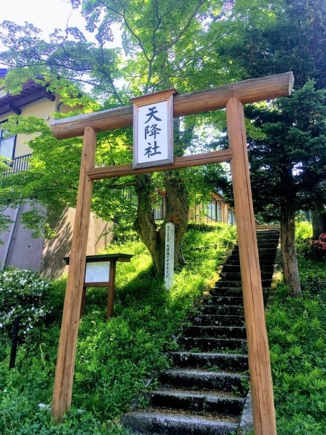 画像5